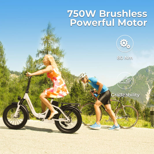 Electric Bike for Adults, 750W Motor 48V 20Ah Removable Battery Folding Ebike, Full Suspensions Mountain Bicycle UL2849