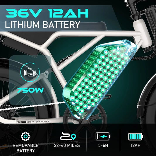 750W Electric Bike for Adults,20X4.0 Fat Tire Off-Road E Bike,36V/12Ah Battery Snow Beach Mountain Bike for Outdoor Cycling E Bike UL2849