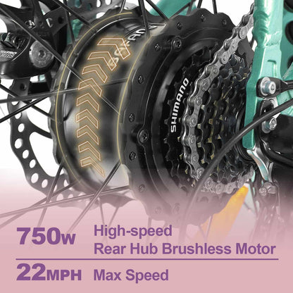 M-140 P7 22 MPH Electric Bike 750W Folding Fat Tires Ebike 48V 16AH Battery Adult Electric Bicycles with Rear Rack + Fenders(Cyan)