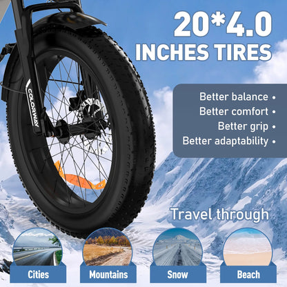 750W Electric Bike for Adults,20X4.0 Fat Tire Off-Road E Bike,36V/12Ah Battery Snow Beach Mountain Bike for Outdoor Cycling E Bike UL2849